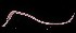  ( - FJMI3751)  @13 [ ] Unspecified (default): All Rights Reserved  Jose Angel Cohuo Unspecified