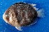  ( - FJMI3828)  @12 [ ] Unspecified (default): All Rights Reserved  Jose Angel Cohuo Unspecified