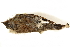  ( - BIOUG49276-C01)  @11 [ ] CreativeCommons - Attribution (2019) CBG Photography Group Centre for Biodiversity Genomics