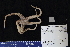 ( - 96363-116)  @11 [ ] by-nc-sa (2020) Paul Larson Fish and Wildlife Research Institute