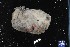  ( - 151261-1312)  @11 [ ] Unspecified (default): All Rights Reserved  Unspecified Fish and Wildlife Research Institute