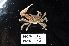  ( - 135972-283)  @11 [ ] by-nc-sa (2020) Paul Larson Fish and Wildlife Research Institute