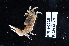  ( - 135972-296)  @11 [ ] by-nc-sa (2020) Paul Larson Fish and Wildlife Research Institute