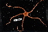  ( - 137131-865)  @11 [ ] by-nc-sa (2020) Paul Larson Fish and Wildlife Research Institute