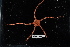  ( - 137883-866)  @11 [ ] by-nc-sa (2020) Paul Larson Fish and Wildlife Research Institute