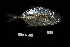  ( - FWRI_5164)  @11 [ ] by-nc-sa (2023) Fish and Wildlife Conservation Commission Fish and Wildlife Research Institute