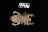  ( - USGX-0081)  @11 [ ] CreativeCommons - Attribution Non-Commercial Share-Alike (2018) Unspecified Fish and Wildlife Research Institute