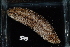  ( - USGX-0103)  @11 [ ] CreativeCommons - Attribution Non-Commercial Share-Alike (2018) Unspecified Fish and Wildlife Research Institute