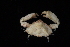  ( - USGX-0148)  @11 [ ] CreativeCommons - Attribution Non-Commercial Share-Alike (2018) Unspecified Fish and Wildlife Research Institute