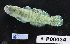 ( - FWRI 03591)  @11 [ ] CreativeCommons - Attribution Non-Commercial Share-Alike (2017) Unspecified Fish and Wildlife Research Institute