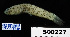  ( - FWRI 03338)  @11 [ ] CreativeCommons - Attribution Non-Commercial Share-Alike (2017) Unspecified Fish and Wildlife Research Institute