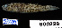  ( - FWRI 02743)  @11 [ ] CreativeCommons - Attribution Non-Commercial Share-Alike (2017) Unspecified Fish and Wildlife Research Institute