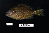  ( - FWRI_5020)  @11 [ ] by-nc-sa (2023) Fish and Wildlife Conservation Commission Fish and Wildlife Research Institute