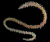  ( - FBAR-0089)  @11 [ ] CreativeCommons - Attribution Non-Commercial Share-Alike (2017) Unspecified Fish and Wildlife Research Institute
