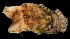  ( - FBAR-0095)  @11 [ ] CreativeCommons - Attribution Non-Commercial Share-Alike (2017) Unspecified Fish and Wildlife Research Institute
