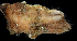  ( - FBAR-0100)  @11 [ ] CreativeCommons - Attribution Non-Commercial Share-Alike (2017) Unspecified Fish and Wildlife Research Institute