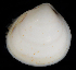  ( - FBAR-0182)  @11 [ ] CreativeCommons - Attribution Non-Commercial Share-Alike (2017) Unspecified Fish and Wildlife Research Institute
