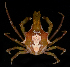  ( - FBAR-0212)  @11 [ ] CreativeCommons - Attribution Non-Commercial Share-Alike (2017) Unspecified Fish and Wildlife Research Institute