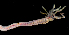  ( - FBAR-0301)  @11 [ ] CreativeCommons - Attribution Non-Commercial Share-Alike (2017) Unspecified Fish and Wildlife Research Institute