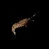  ( - SMPA-0106)  @11 [ ] CreativeCommons - Attribution Non-Commercial Share-Alike (2017) Unspecified Fish and Wildlife Research Institute