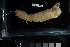  ( - FWRI I 01062)  @11 [ ] CreativeCommons - Attribution Non-Commercial Share-Alike (2019) Unspecified Fish and Wildlife Research Institute