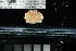  ( - FWRI I 00934)  @11 [ ] CreativeCommons - Attribution Non-Commercial Share-Alike (2019) Unspecified Fish and Wildlife Research Institute