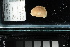  ( - FWRI I 00939)  @11 [ ] CreativeCommons - Attribution Non-Commercial Share-Alike (2019) Unspecified Fish and Wildlife Research Institute