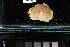  ( - FWRI I 00942)  @11 [ ] CreativeCommons - Attribution Non-Commercial Share-Alike (2019) Unspecified Fish and Wildlife Research Institute