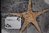  ( - FWRI I 01021)  @11 [ ] CreativeCommons - Attribution Non-Commercial Share-Alike (2019) Unspecified Fish and Wildlife Research Institute