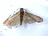  ( - ARCl8b)  @13 [ ] CreativeCommons - Attribution (2010) Unspecified Centre for Biodiversity Genomics