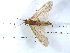  ( - ARCm8)  @12 [ ] CreativeCommons - Attribution (2010) Unspecified Centre for Biodiversity Genomics
