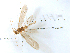  ( - AROo9a)  @13 [ ] CreativeCommons - Attribution (2010) Unspecified Centre for Biodiversity Genomics