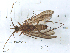  ( - ARChf8b)  @12 [ ] CreativeCommons - Attribution (2010) Unspecified Centre for Biodiversity Genomics