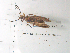  ( - ARChf8c)  @12 [ ] CreativeCommons - Attribution (2010) Unspecified Centre for Biodiversity Genomics