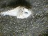  ( - 09CoIFishC15)  @12 [ ] No Rights Reserved (2014) Unspecified UH Biology