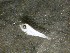  ( - 09CoIFishC20)  @12 [ ] No Rights Reserved (2014) Unspecified UH Biology