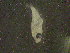  ( - 11COIFishA17)  @12 [ ] No Rights Reserved (2014) Unspecified UH Biology