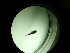  ( - 12COIFishA07)  @12 [ ] No Rights Reserved (2014) Unspecified UH Biology