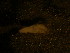  ( - 12COIFishA21)  @12 [ ] No Rights Reserved (2014) Unspecified UH Biology