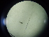  ( - 12COIFishA41)  @12 [ ] No Rights Reserved (2014) Unspecified UH Biology