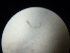  ( - 12COIFishA87)  @12 [ ] No Rights Reserved (2014) Unspecified UH Biology