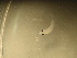  ( - 12COIFishB80)  @12 [ ] No Rights Reserved (2014) Unspecified UH Biology