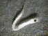  ( - 09COIFishC92)  @12 [ ] Unspecified (default): All Rights Reserved  Unspecified Unspecified
