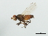  ( - CHU05-FLI-612)  @12 [ ] CreativeCommons - Attribution (2008) Unspecified Centre for Biodiversity Genomics