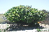  ( - BS0084)  @11 [ ] CreativeCommons - Attribution Non-Commercial Share-Alike (2011) Olivier Maurin University of Johannesburg