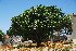  ( - BS0094)  @11 [ ] CreativeCommons - Attribution Non-Commercial Share-Alike (2011) Olivier Maurin University of Johannesburg