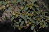  ( - BS0158)  @11 [ ] CreativeCommons - Attribution Non-Commercial Share-Alike (2011) Olivier Maurin University of Johannesburg