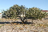  ( - BS0158)  @11 [ ] CreativeCommons - Attribution Non-Commercial Share-Alike (2011) Olivier Maurin University of Johannesburg
