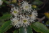  ( - BS0158)  @11 [ ] CreativeCommons - Attribution Non-Commercial Share-Alike (2011) Olivier Maurin University of Johannesburg