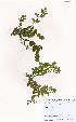  ( - BS0245)  @11 [ ] No Rights Reserved  Unspecified Unspecified